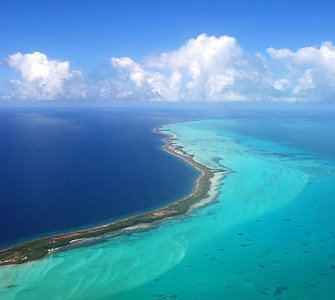 Reef from the plane.