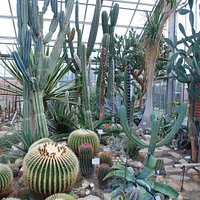 Cactus house in Kiel Botanical Gardens