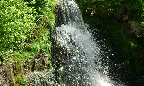 Waterfall through the grounds