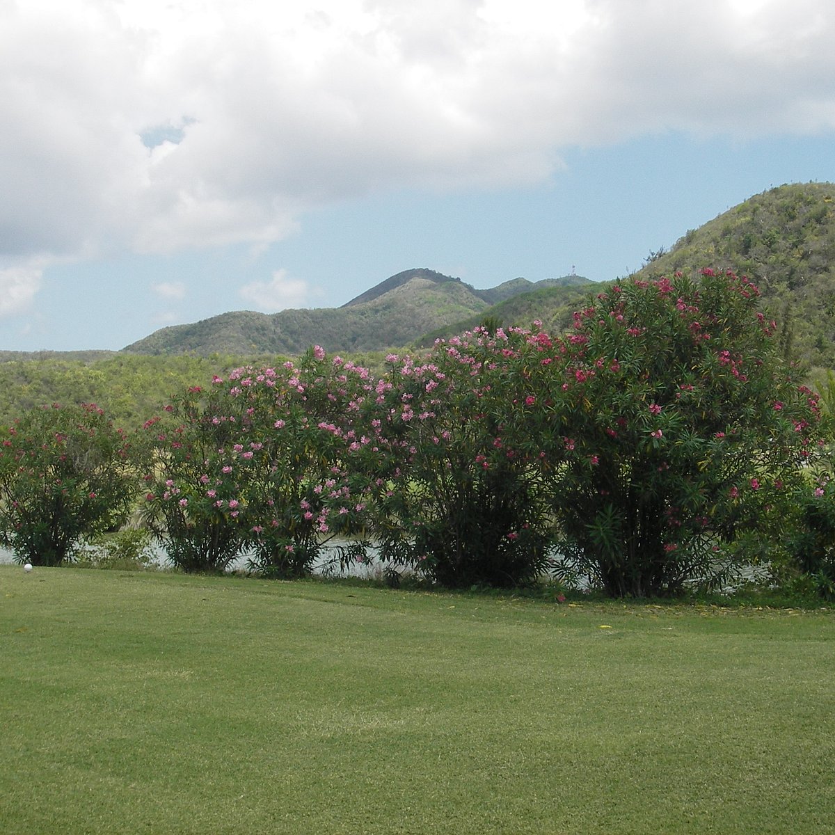 Jolly Harbour Golf Club (Antigua) 2022 Alles wat u moet weten VOORDAT