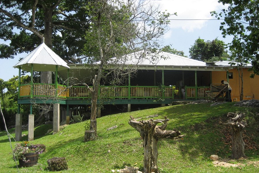 plantation tour montego bay