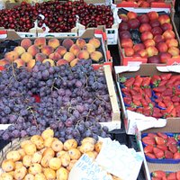 Alghero Market