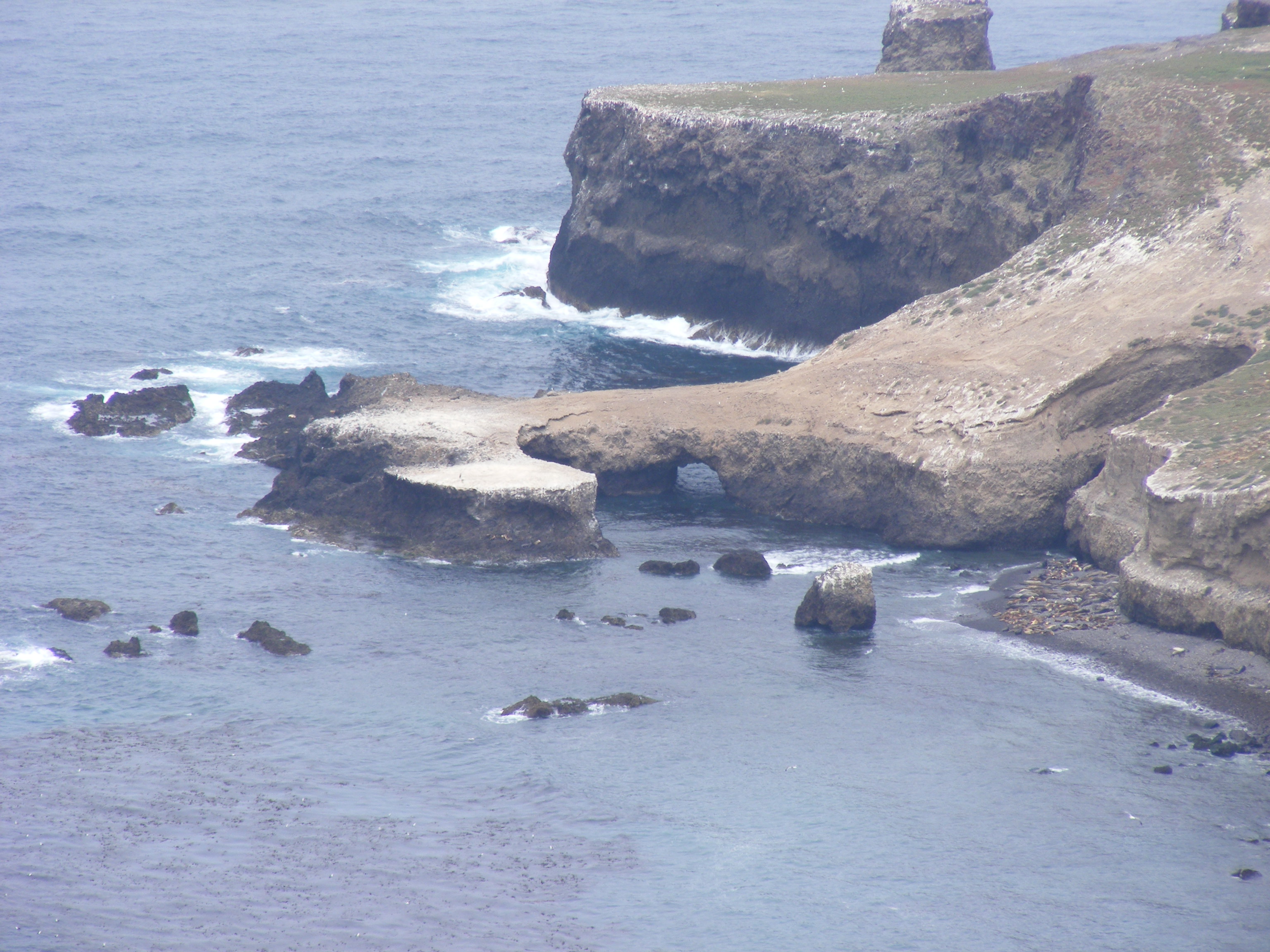 SANTA BARBARA ISLAND (Channel Islands National Park) - All You Need To ...