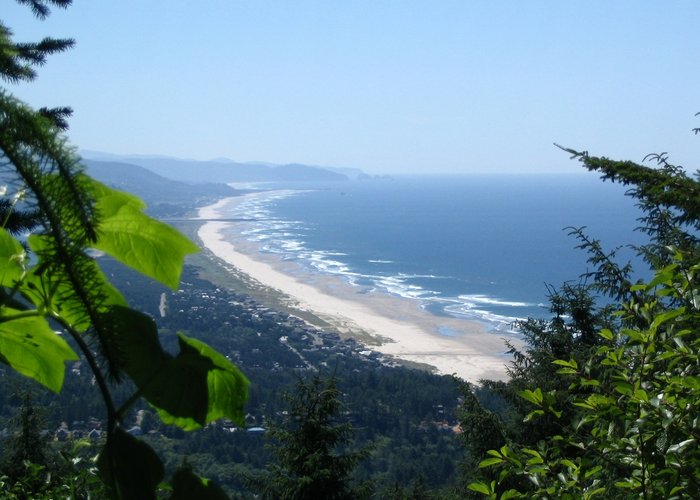View of the beach from Hwy 101