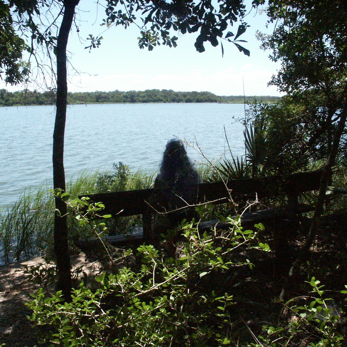 Armand Bayou Nature Center - All You Need to Know BEFORE You Go (2025)