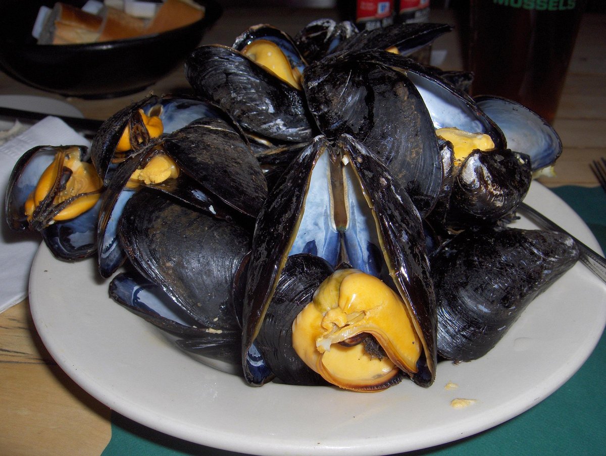 BERTHA'S MUSSELS, Baltimore - Fells Point - Menu, Prix & Restaurant