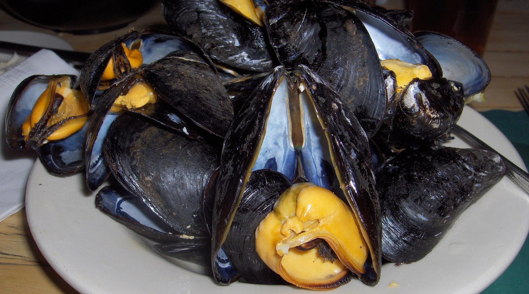 BERTHA'S MUSSELS, Baltimore - Fells Point - Menu, Prices & Restaurant