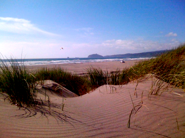 CLAM BEACH COUNTY PARK Arcata Ce qu il faut savoir pour votre