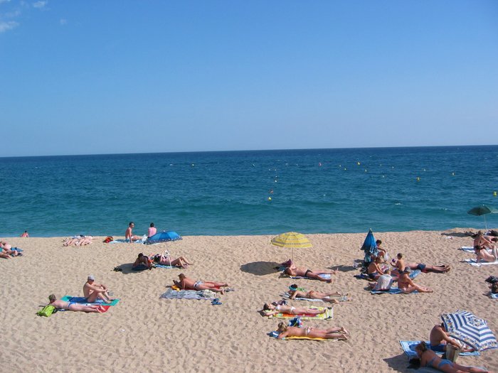 Imagen 5 de Playa de Lloret