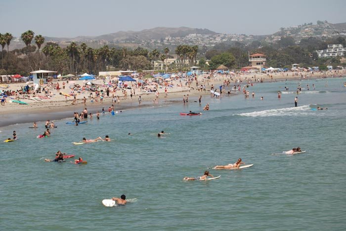 are dogs allowed at doheny state beach