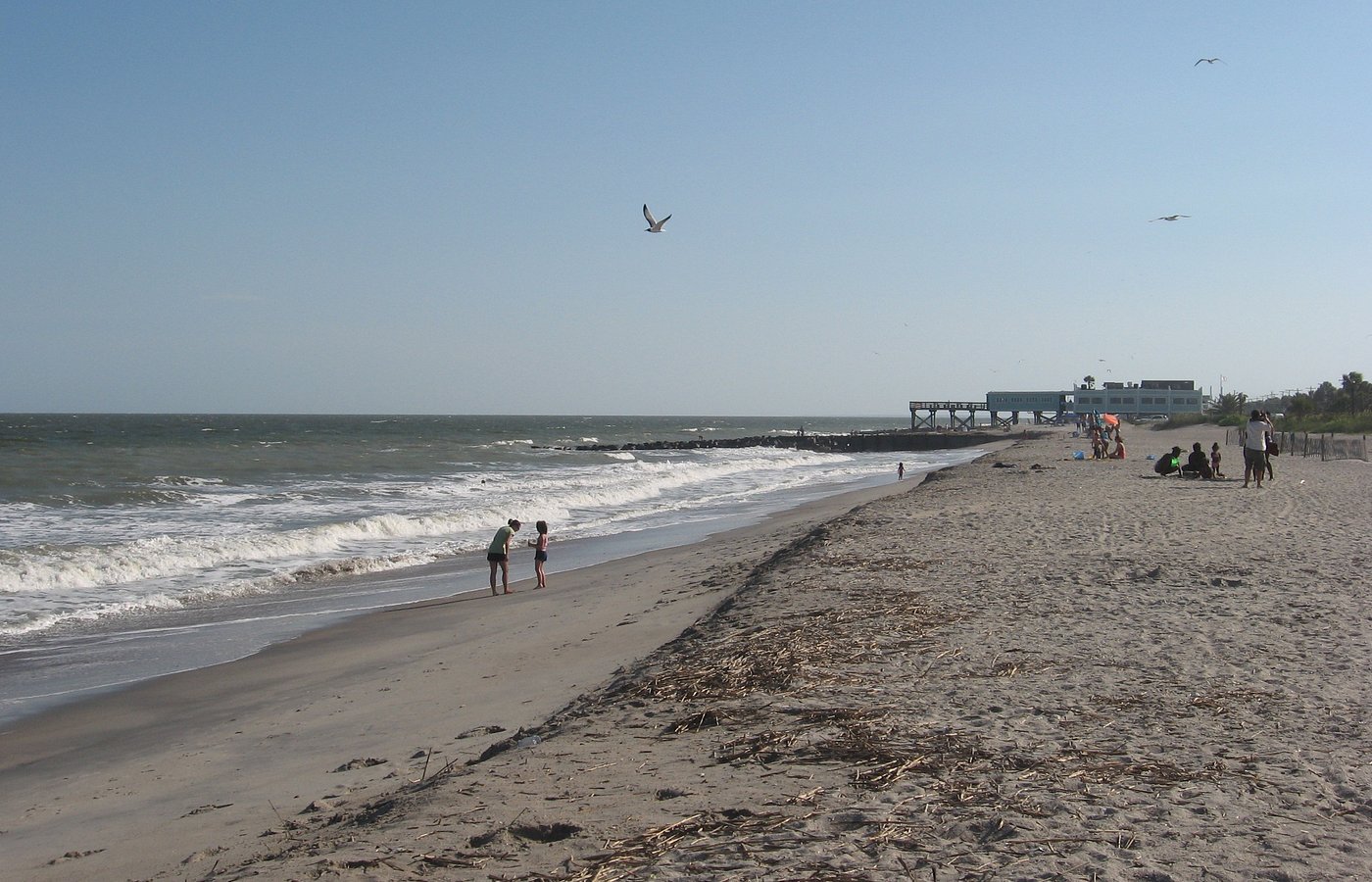 edisto-island-2023-best-places-to-visit-tripadvisor