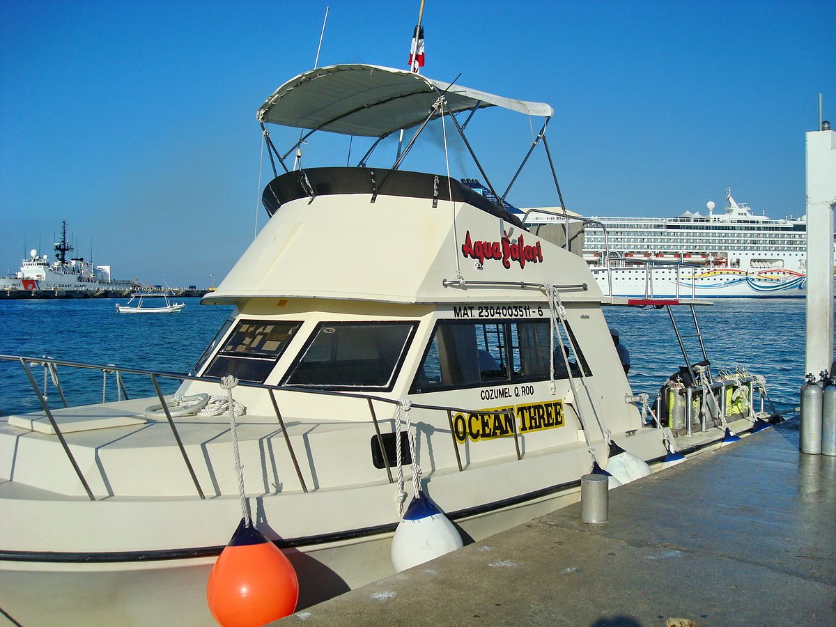 aqua safari cozumel palace