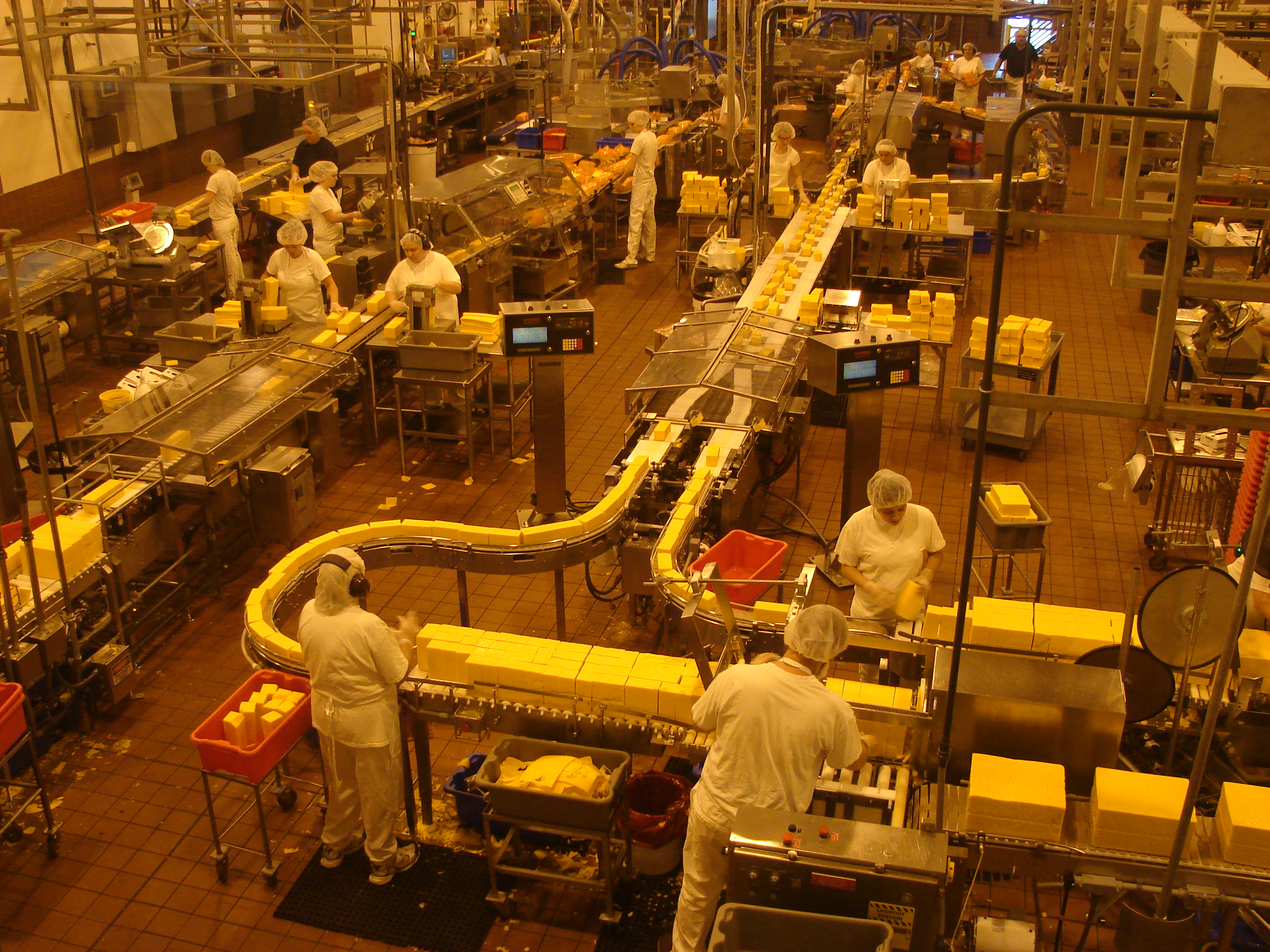 Tillamook Creamery Tripadvisor   Cheese Factory Floor 