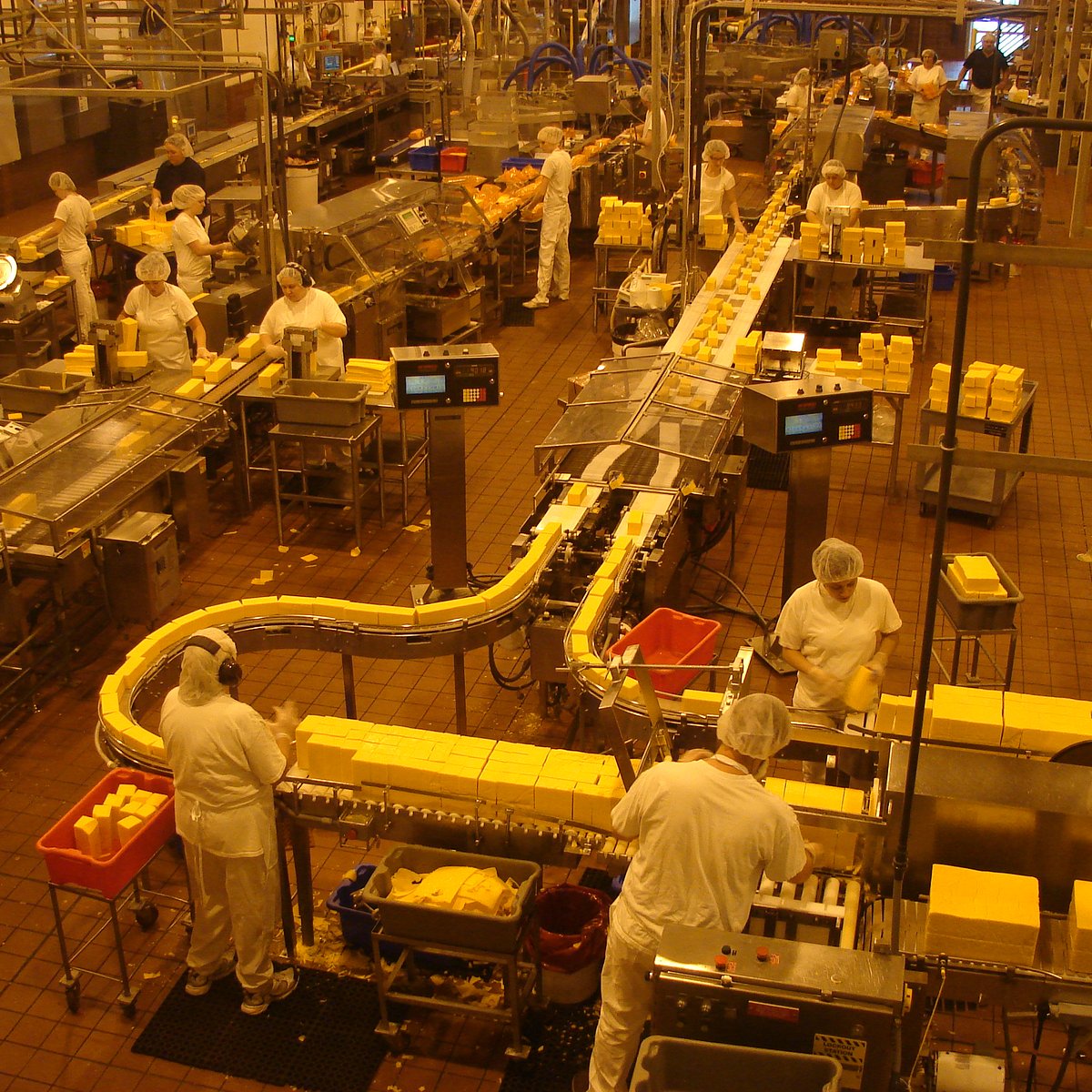 tillamook cheese factory tour oregon