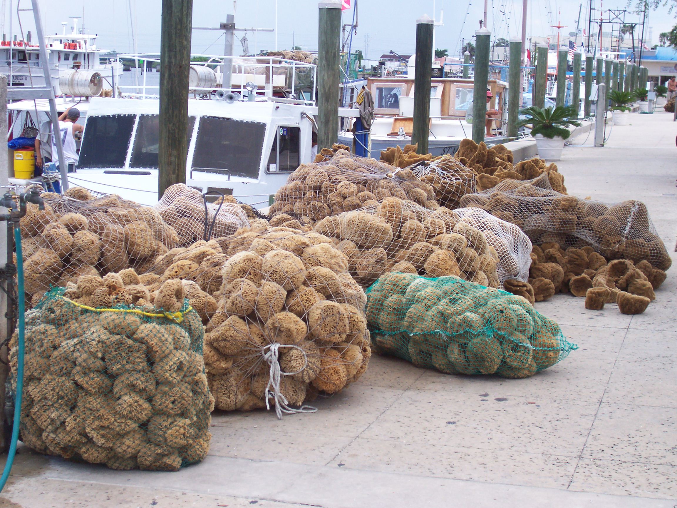 Tarpon Springs Sponge Docks All You Need to Know BEFORE You Go