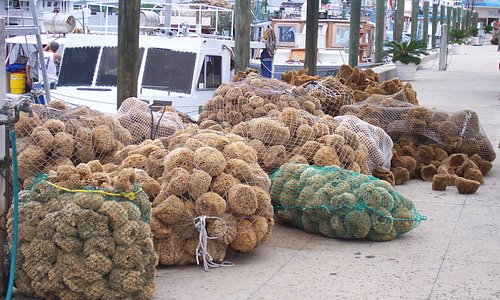 wool and yellow sponges