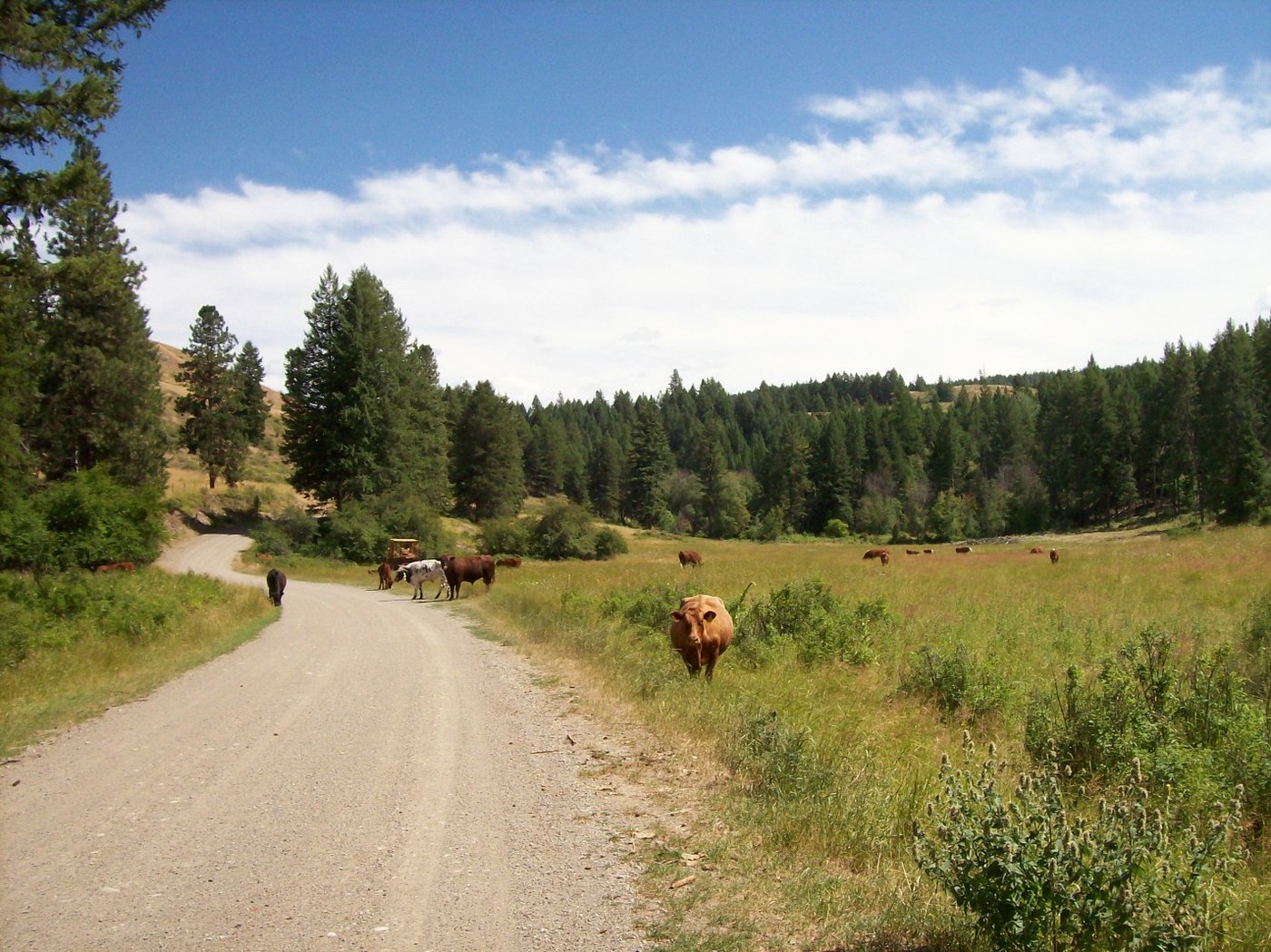 SWAN LAKE CAMPGROUND - Reviews (Republic, WA)