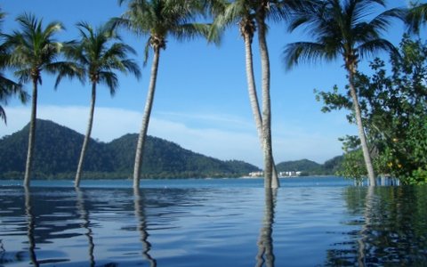 Infinity Pool