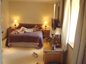 Room & Suite