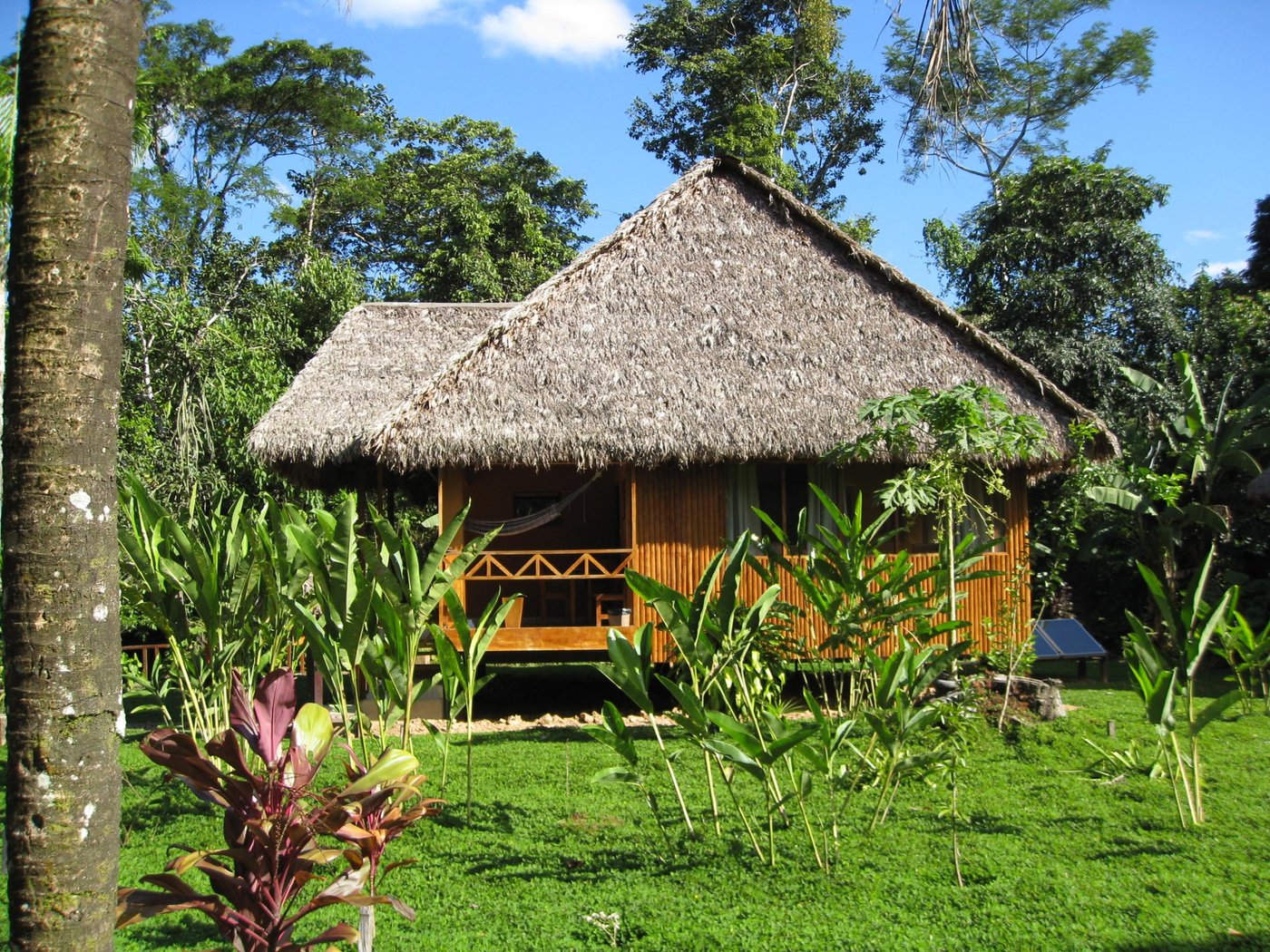 Tambopata Ecolodge - Peru/Tambopata National Reserve Lodge - Updated ...