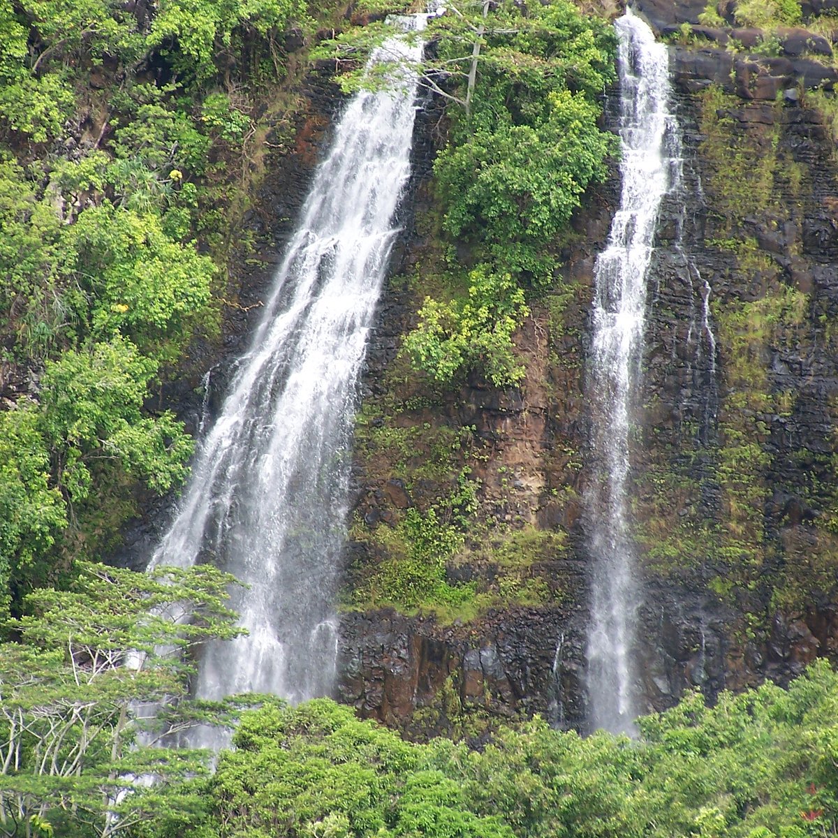 the best of kauai tour