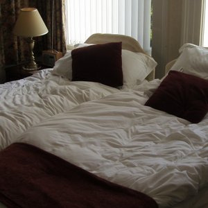 ground floor bedroom