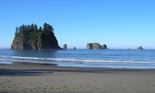 Forks, Wa 2024: Best Places To Visit - Tripadvisor