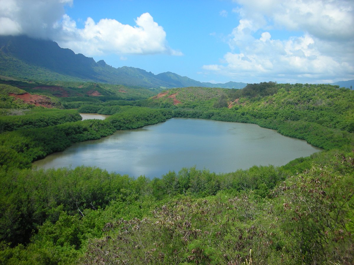 Menehune Fish Pond - All You Need to Know BEFORE You Go (2024)