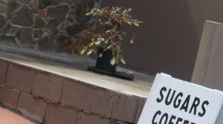 Entrance into Sugars Coffee House
