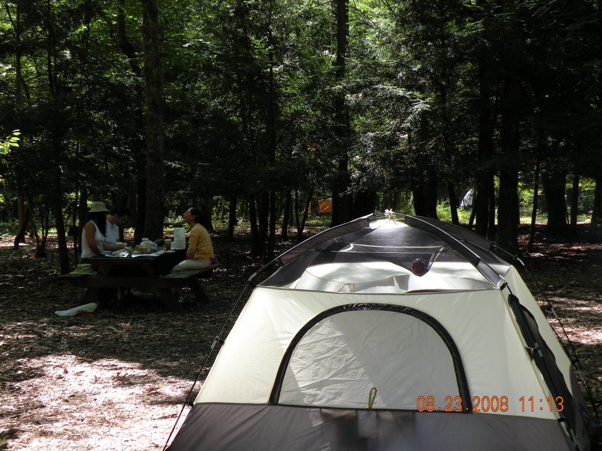 Dingmans Campground (밍먼스페리) - 호텔 리뷰 & 가격 비교