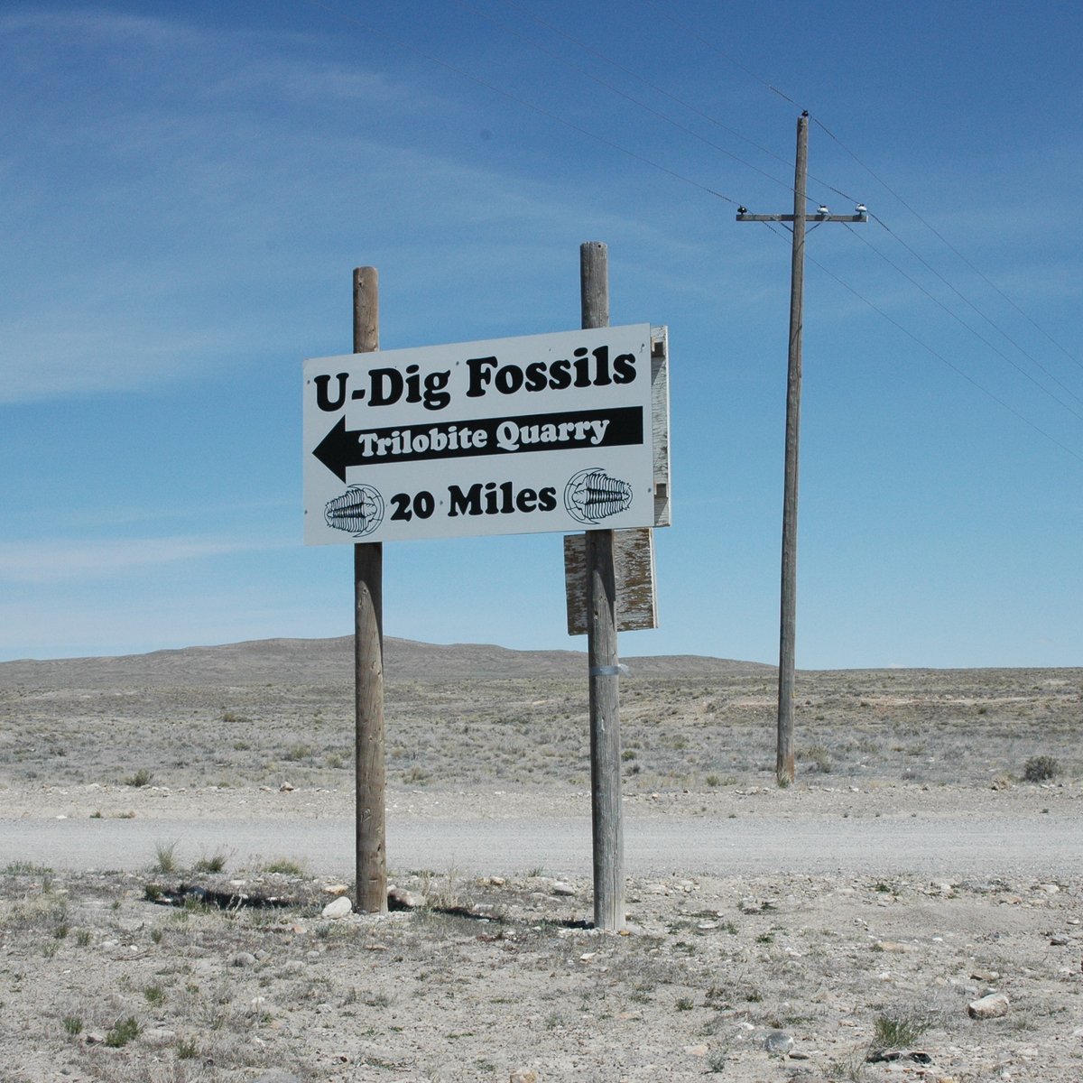you dig fossils