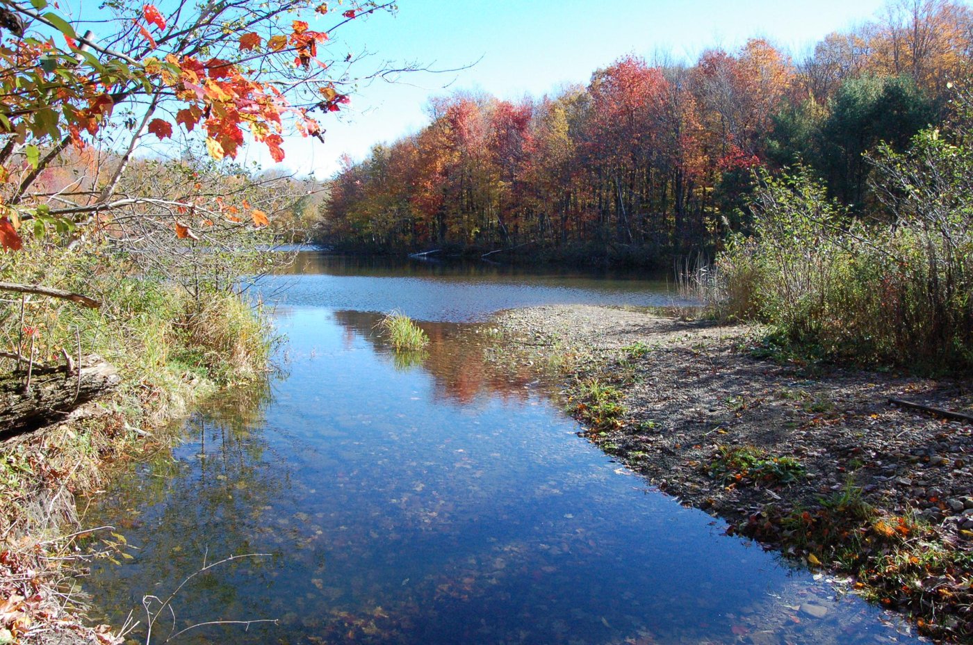 Bonny Rigg Campground - Reviews & Photos (Becket, MA - Berkshires