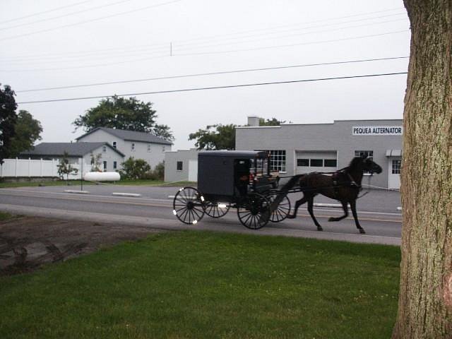 An Amish horse, buggy, and rider or riders clip-clop down a