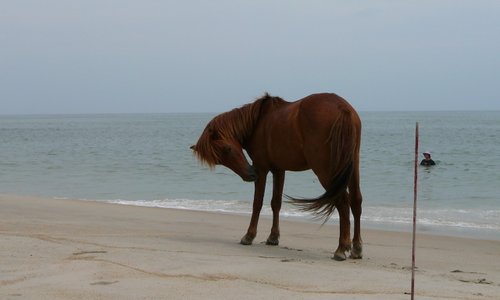 アサティーグ島 旅行 観光ガイド 年 トリップアドバイザー