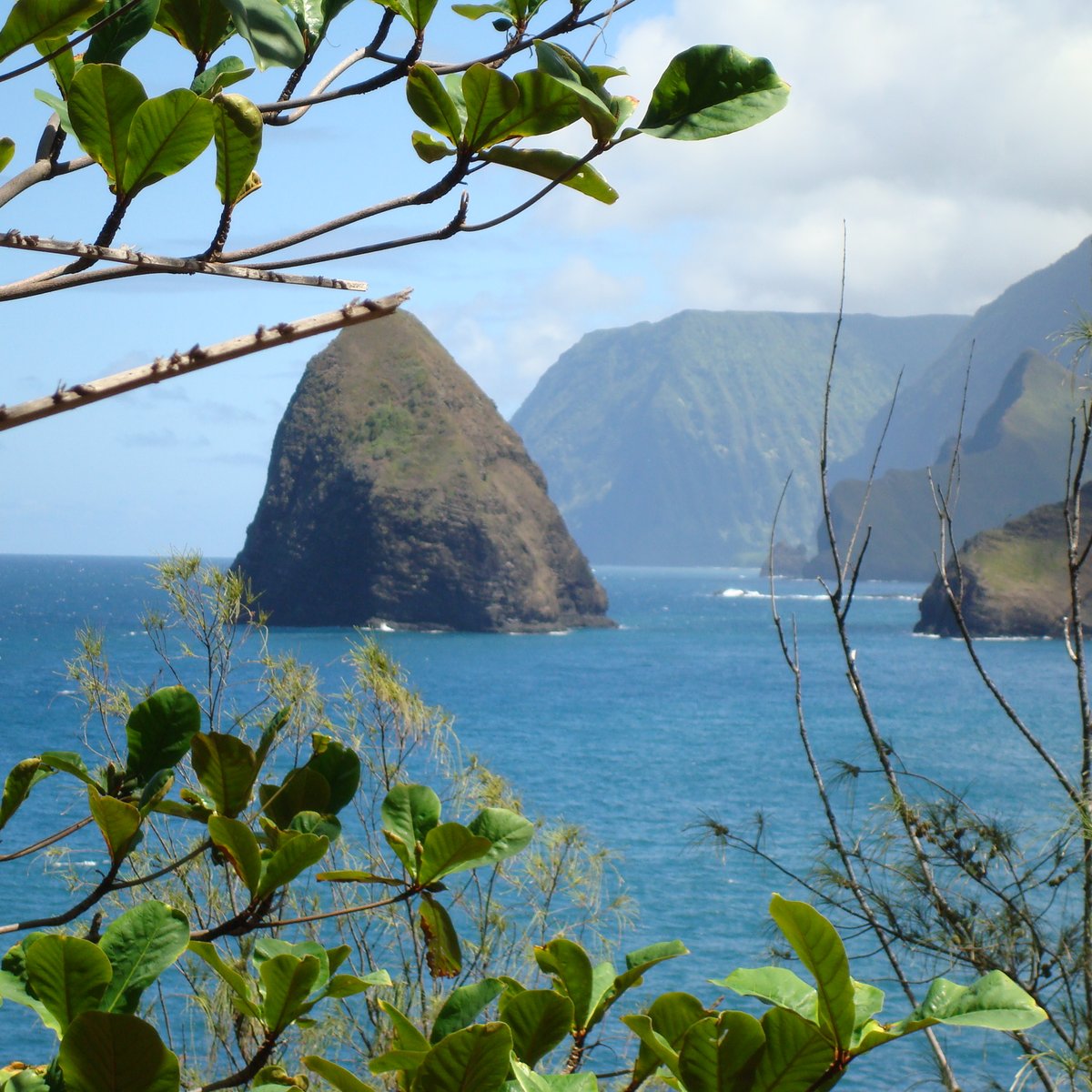 MOLOKAI MULE RIDE (Kalaupapa) - Qué SABER antes de ir (2024)