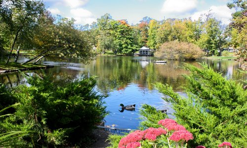View of the gardens