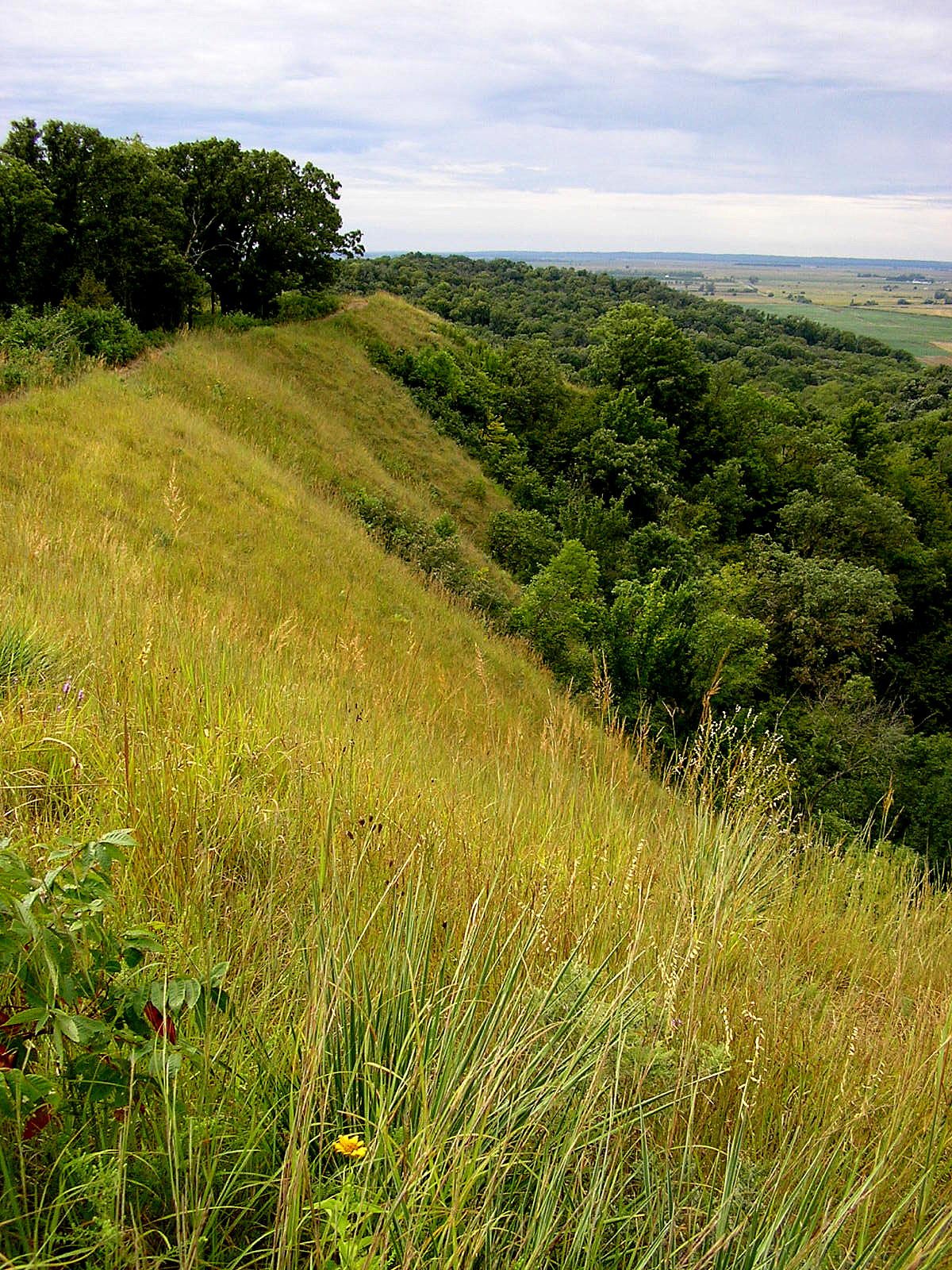 Escape to Iowa's Hidden Gem: Waubonsie State Park