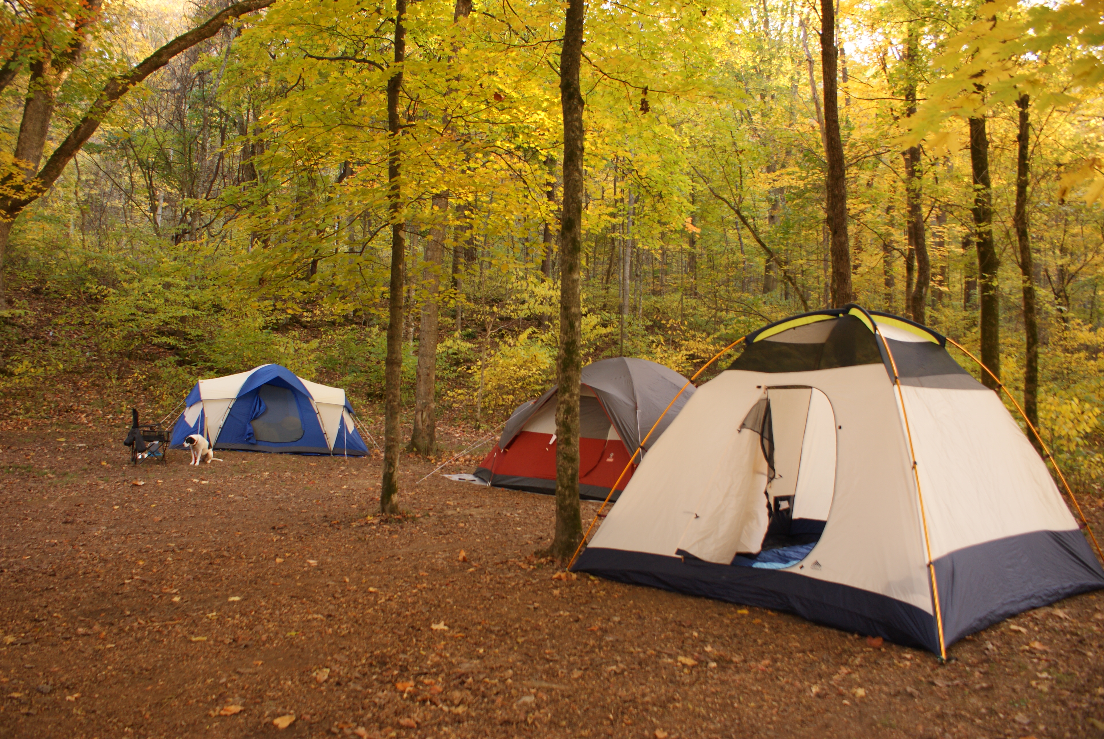 HOUCHINS FERRY CAMPGROUND Mammoth Cave National Park KY Ulasan   We Spread Our Tents Across 