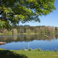 Lake Canobolas 2, NSWsnowfire