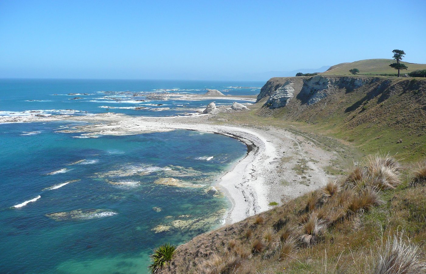 Kaikoura, New Zealand 2023: Best Places to Visit - Tripadvisor