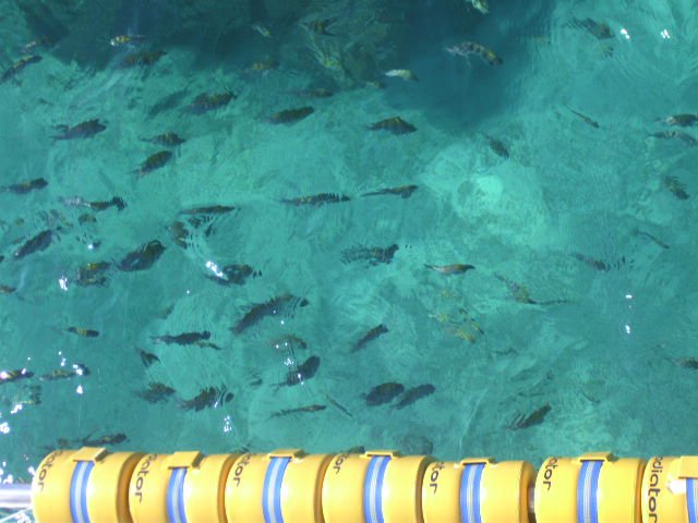 Marinarium Excursions Snorkeling Cruise - All You Need to Know BEFORE ...