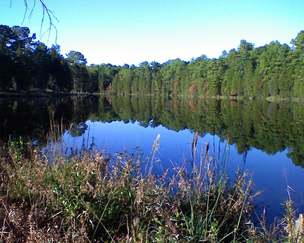 Cheraw State Park Golf Course All You Need to Know BEFORE You Go