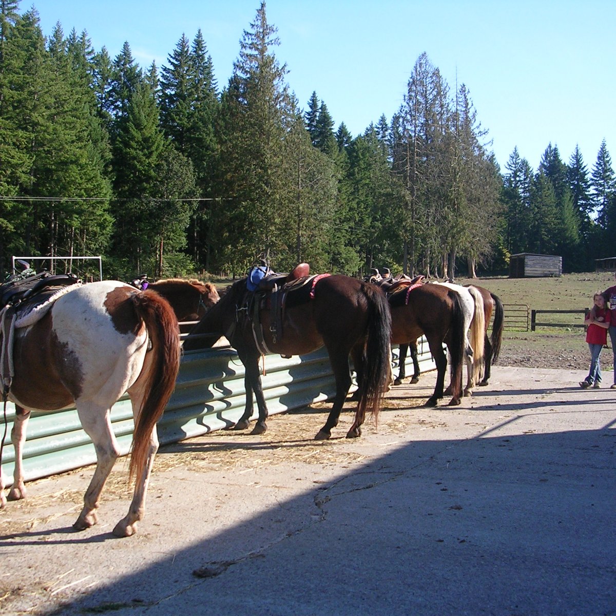 Northwestern Lake Riding Stables (White Salmon) All You Need to Know