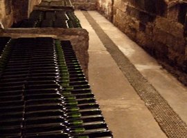 madrid winery tour