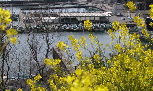 和歌の浦を走行中峠よりパチリと