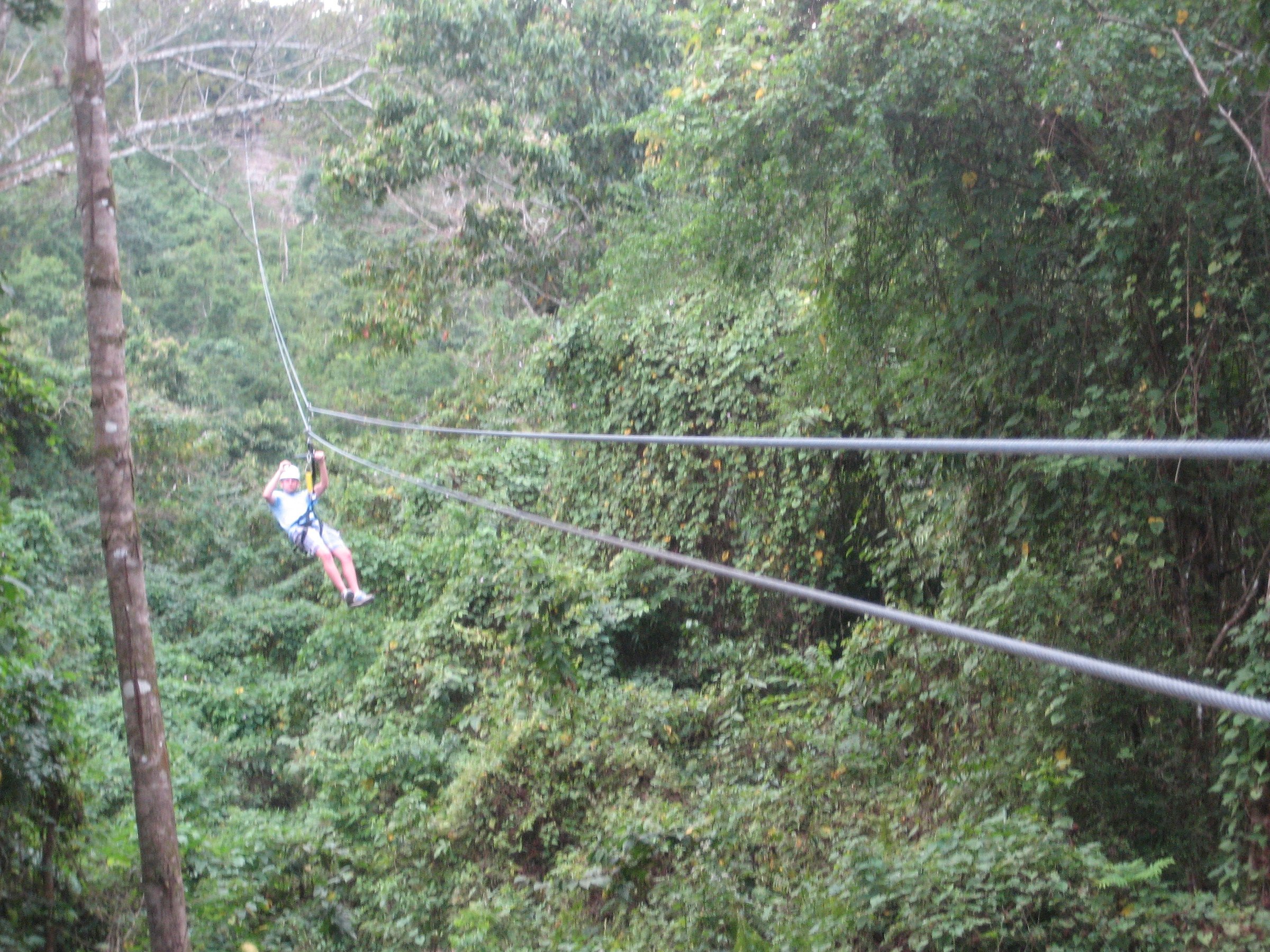 zipline adventure tours jamaica