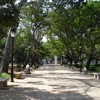 Pondicherry - Bharati Park, uno dei viali
