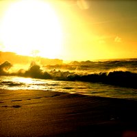 Ehukai Beach
