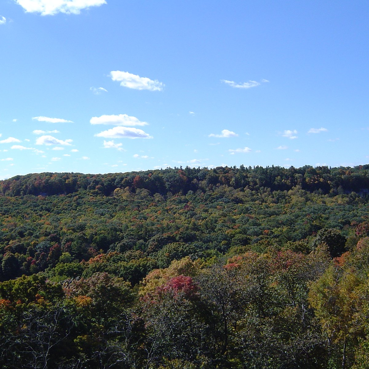 Accommodations Near Rattlesnake Point Conservation Area