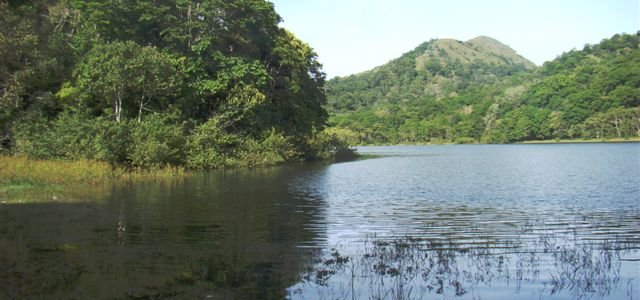 Periyar Landscape2